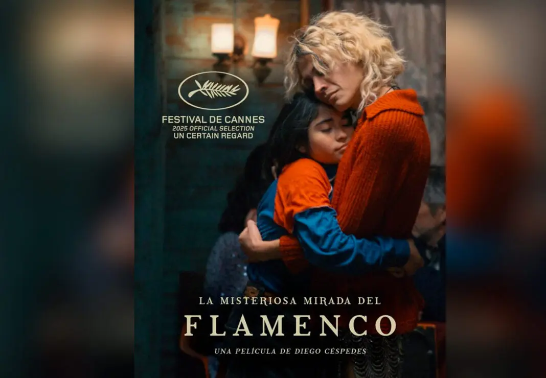 la misteriosa mirada del flamenco