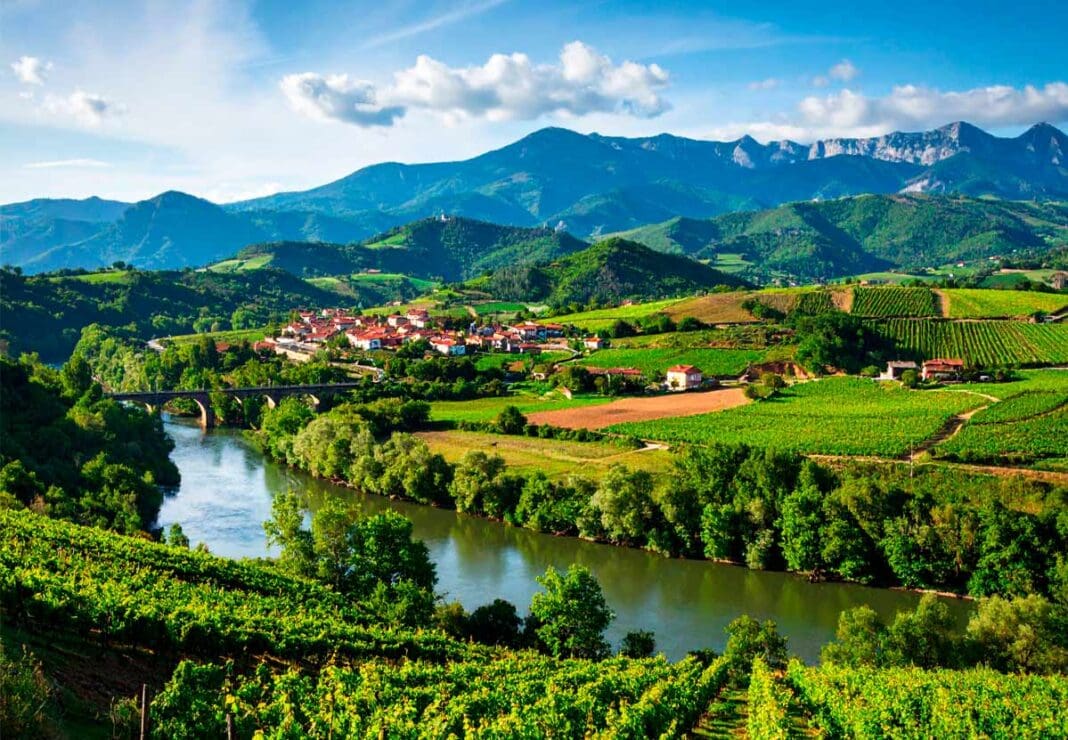 rioja alavesa