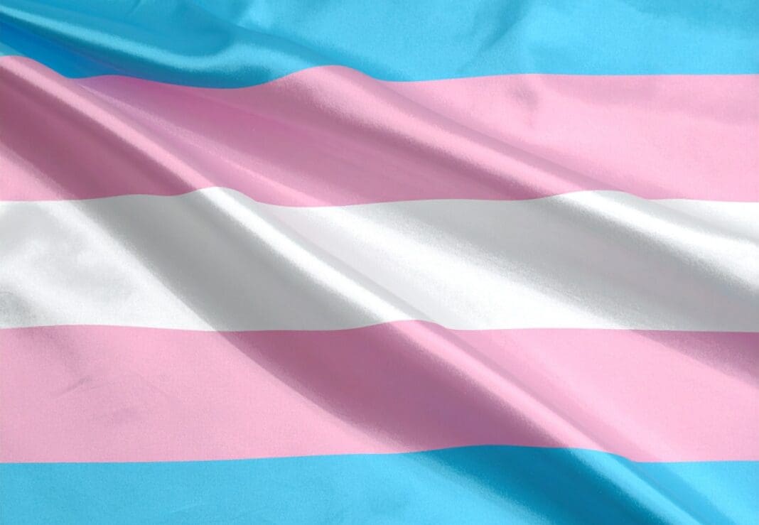 Bandera trans