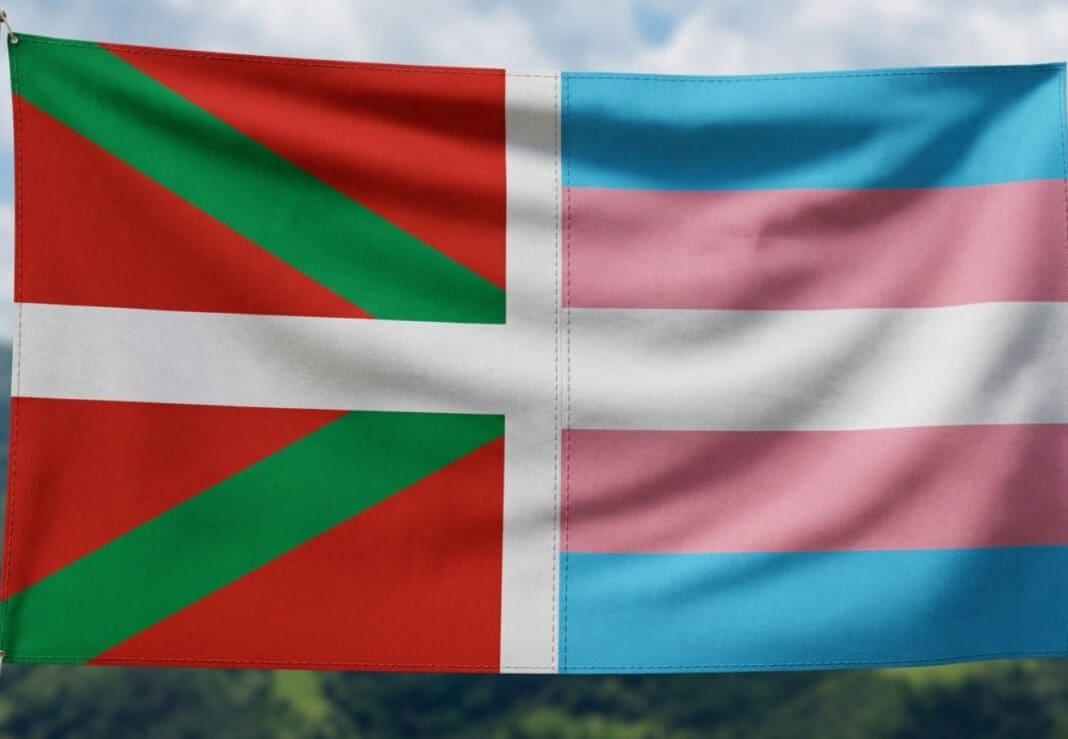 euskadi bandera trans